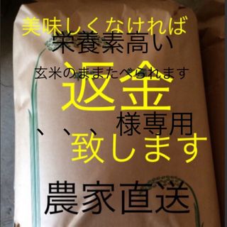 、、、様専用　無農薬　純こしひかり30㎏ 玄米(米/穀物)