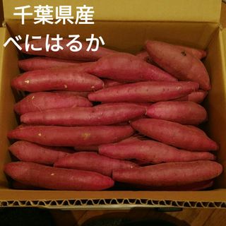 13 千葉県産　べにはるか　さつまいも　サツマイモ　約2.8㎏(野菜)