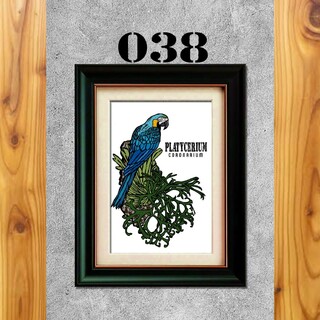 038 オリジナルポスター　ルリコンゴウインコ(鳥)