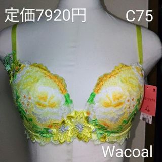 Wacoal - ゴールデンウィーク価格！新品ルジェWacoalブラ日本製C75㎝定価7920円