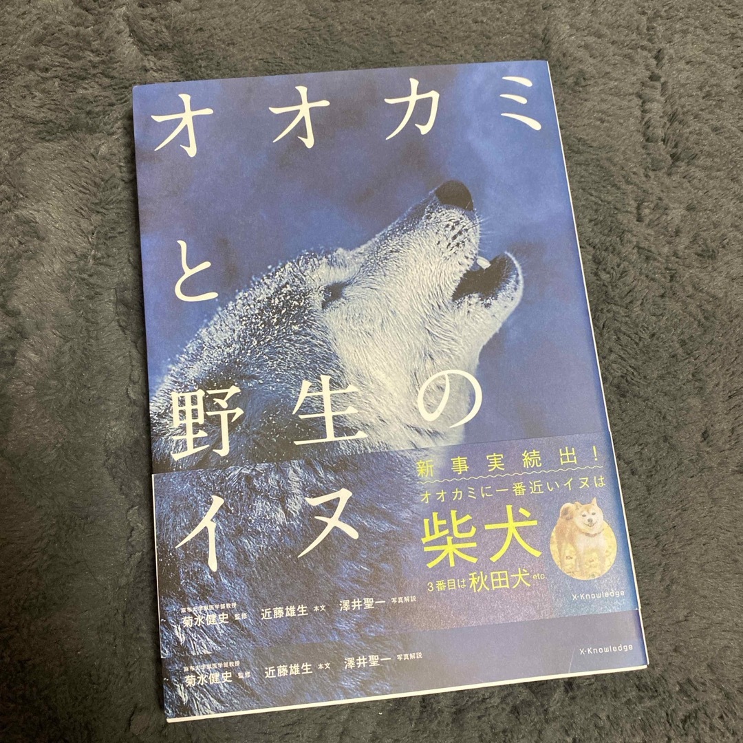 オオカミと野生のイヌ エンタメ/ホビーの本(科学/技術)の商品写真