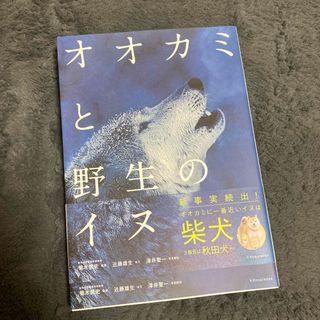 オオカミと野生のイヌ(科学/技術)