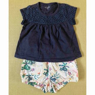 ベビーギャップ(babyGAP)の紺Tシャツ&花柄ブルマセット80cm(Ｔシャツ)