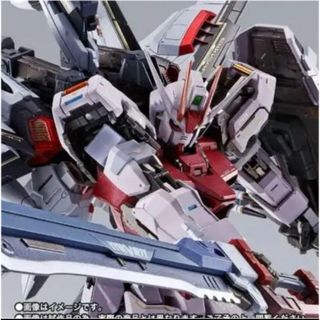 新品未開封  METAL BUILD ストライクルージュ　オオトリ装備(プラモデル)