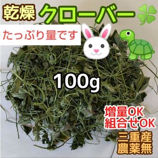 乾燥クローバー☘️100g ウサギ チンチラ デグー リクガメ等 ☆増量組合OK(小動物)