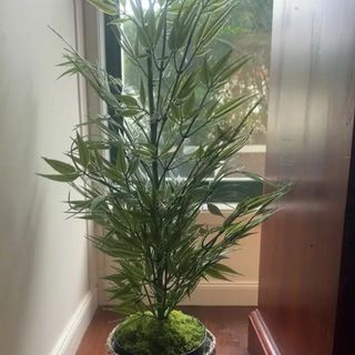 笹 人工観葉植物 高さ ８１cm 人工竹の葉の木 フェイク竹の葉 フェイク植物(その他)