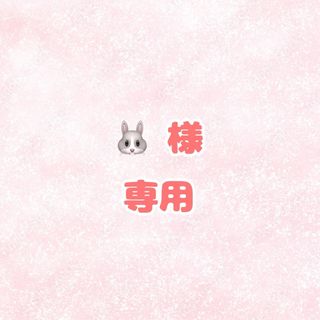 🐰様専用 婚姻届 提出2(その他)