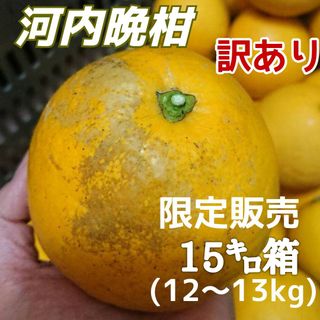 【限定】愛媛県産★農家直送★河内晩柑 訳あり(フルーツ)