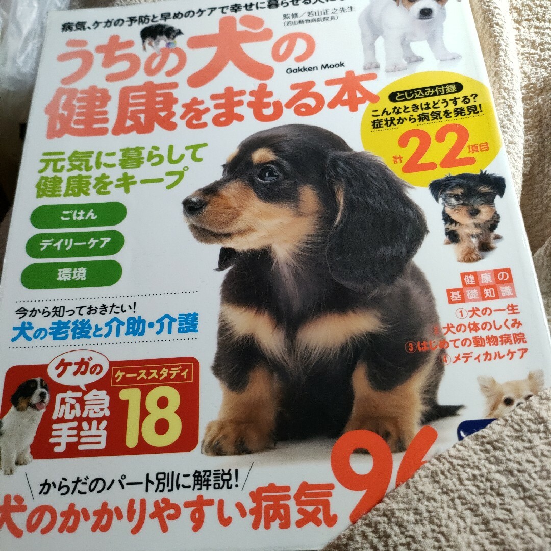 うちの犬の健康をまもる本 : 病気、ケガの予防と早めのケアで幸せに暮らせる犬に… エンタメ/ホビーの本(その他)の商品写真