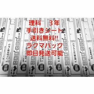 最新！小3理科テストぶんけい豪華おまけ！ラクマ発送送料無料即日発送可能！(その他)