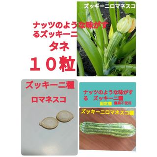 ナッツのようなの味がするズッキーニ種　ロマネスコ　タネの出品(野菜)