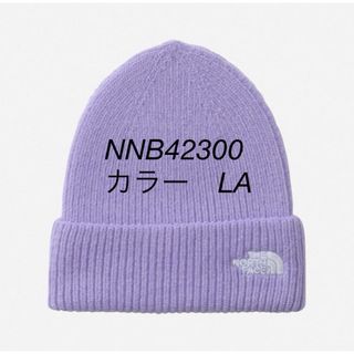 ザノースフェイス(THE NORTH FACE)のBaby Small Logo Beanie　THE NORTH FACE(帽子)