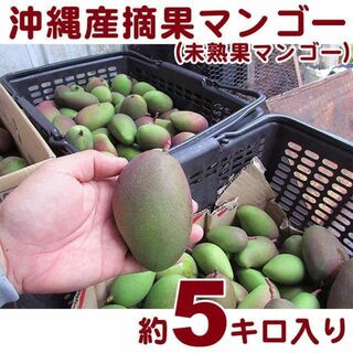 【送料込】沖縄産摘果マンゴー約５キロ┃未熟果マンゴー┃グリーンマンゴー(フルーツ)