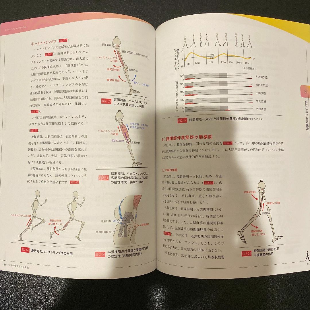 臨床に役立つ歩行運動学 エンタメ/ホビーの本(健康/医学)の商品写真