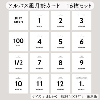 アルバス風月齢カード　16枚セット(アルバム)