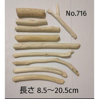 海の流木 No.716 長さ 8.5～20.5cm まとめ売り 10本