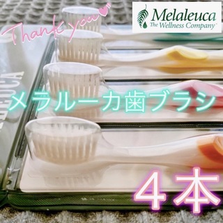 【新品】メラルーカ 歯ブラシ 半透明 マルチカラー 公式正規品〔4本セット〕(歯ブラシ/歯みがき用品)