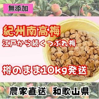 限定 紀州南高梅 樽 10kg つぶれ梅 無添加 和歌山 紀州 白梅(漬物)