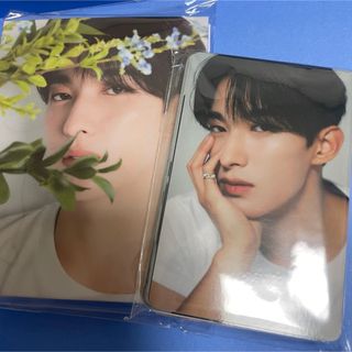 SEVENTEEN DK ドギョム DEAR バインダートレカセット