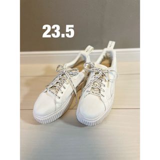 Ameri VINTAGE - AMERI×PUMA コラボスニーカー／23.5cm【ディナーラ】