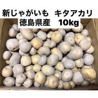 新じゃがいも　キタアカリ　10kg コロコロサイズ(野菜)