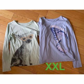 ギャップキッズ(GAP Kids)のGAP KIDS  長袖シャツ　XXL  2点セット(Tシャツ/カットソー)