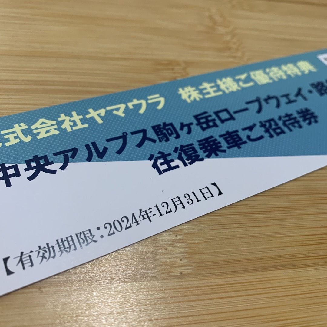 駒ヶ岳ロープウェイ　路線バス　往復乗車ご招待券 チケットの施設利用券(遊園地/テーマパーク)の商品写真