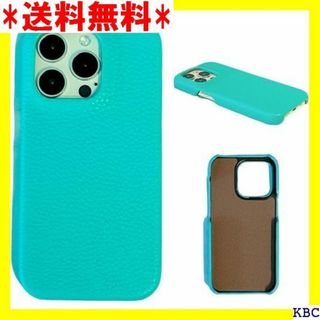 SUNNY&GO iPhone14 Pro ケース ス カ エメラルド 342(その他)