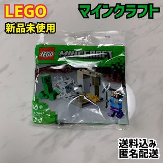 レゴ(Lego)のLEGO レゴ マインクラフト 30647 鍾乳洞 新品(その他)