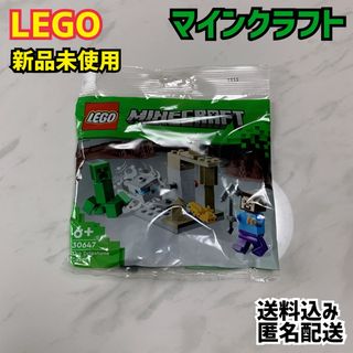 Lego - LEGO レゴ マインクラフト 30647 鍾乳洞 新品