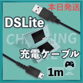 ニンテンドーDS(ニンテンドーDS)の新品DSライト 充電器 USB ケーブル DSL DS Lite NDS(携帯用ゲーム機本体)