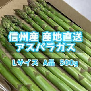 信州産　アスパラガス　Lサイズ　500g(野菜)