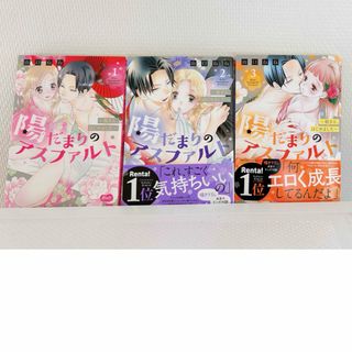 陽だまりのアスファルト～姐さん、はじめました 1〜3巻(女性漫画)