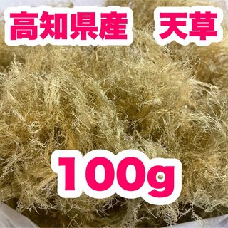 高知県産　白緑さらし天草　100g  ところてん　寒天　天然テングサ　自然食品j(乾物)