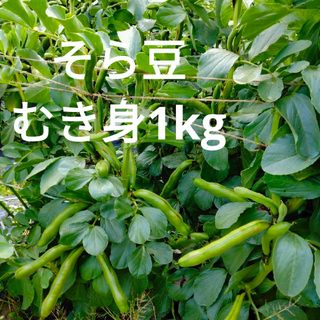 [期間限定販売]そら豆　むき身　1kg(野菜)