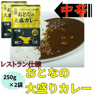 おとなの大盛カレー レストラン仕様 中辛 250g×2袋 レトルトカレー 非常食(その他)