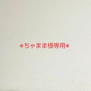 ※ちゃまま様専用※令和3年度 日本語教育能力検定試験 試験問題