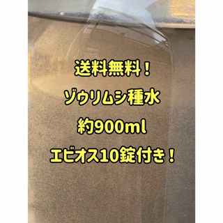 自家培養特濃ゾウリムシ約900ml！エビオス10錠付き！