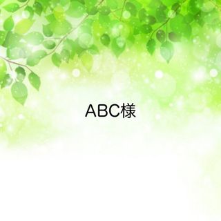 ABC様☆専用ページ(その他)