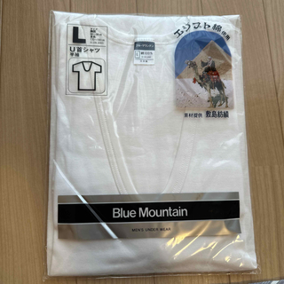 Blue Mountain 半袖U首シャツ(その他)