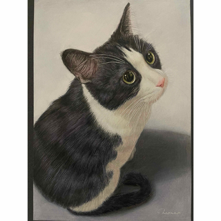 色鉛筆画 A4.ハチワレ猫 110(絵画/タペストリー)
