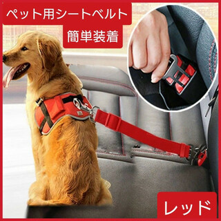 ペット用　シートベルト　レッド　リード　ゲージ　散歩　旅行　犬　猫　ワンちゃん(犬)