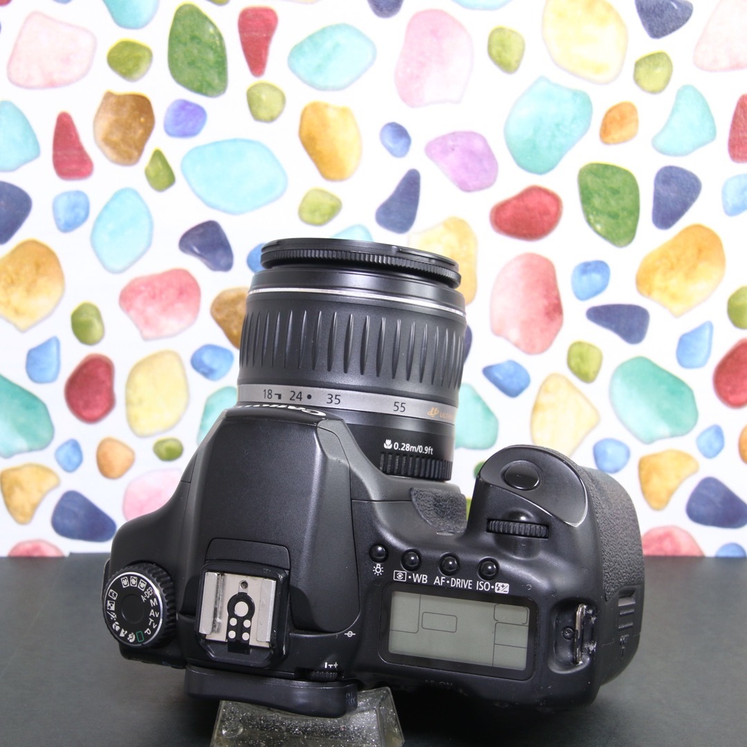 ♥︎◇Canon キャノン EOS 40D ◇おすすめ一眼レフ ◇本格入門機 ♥︎◇Canon キャノン EOS 40D ◇おすすめ一眼レフ ◇本格入門機