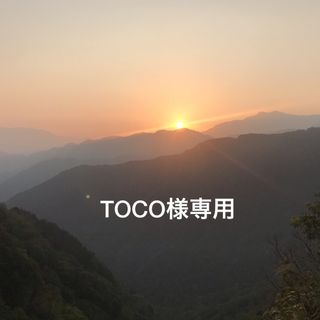 ☆TOCO様専用♬☆(菓子/デザート)