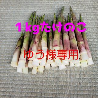 ゆう様専用　山形県産タケノコ(月山筍)１kg(野菜)