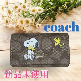 COACH - COACH コーチ キーケース　スヌーピー ウッドストック　レディース