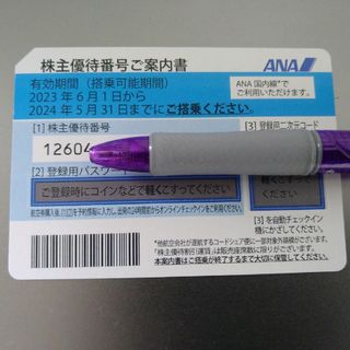 エーエヌエー(ゼンニッポンクウユ)(ANA(全日本空輸))のANA 株主優待券 1枚(その他)