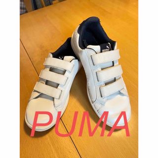 PUMA - スニーカー　PUMA プーマ　２３.５センチ　ベルクロ ホワイト