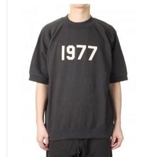 フィアオブゴッド(FEAR OF GOD)のfog essentials SS raglan crewneck  Lサイズ(スウェット)