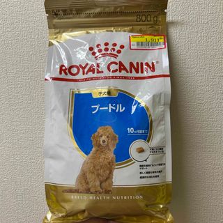 ロイヤルカナン(ROYAL CANIN)のROYALCANIN 犬(犬)